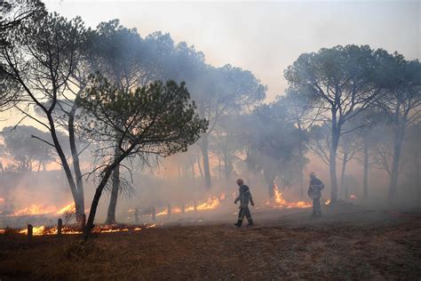 Incendie En Cours Landes Landes : un incendie dans le secteur d'Ychoux brûle plus de 150 hectares de  forêt